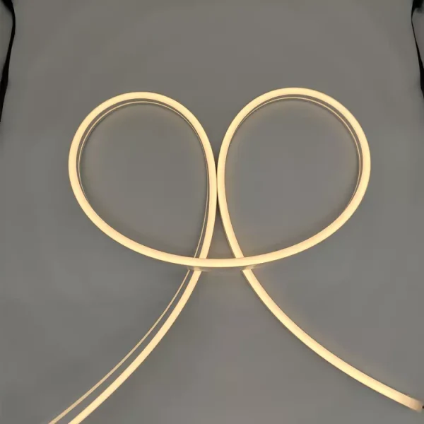 LED Neon Light