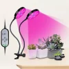 LED Grow Lights